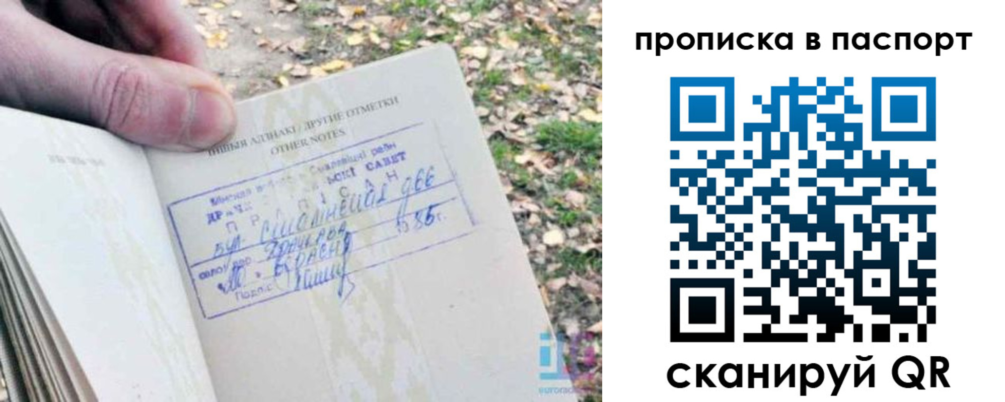 купить прописку в Цивильске